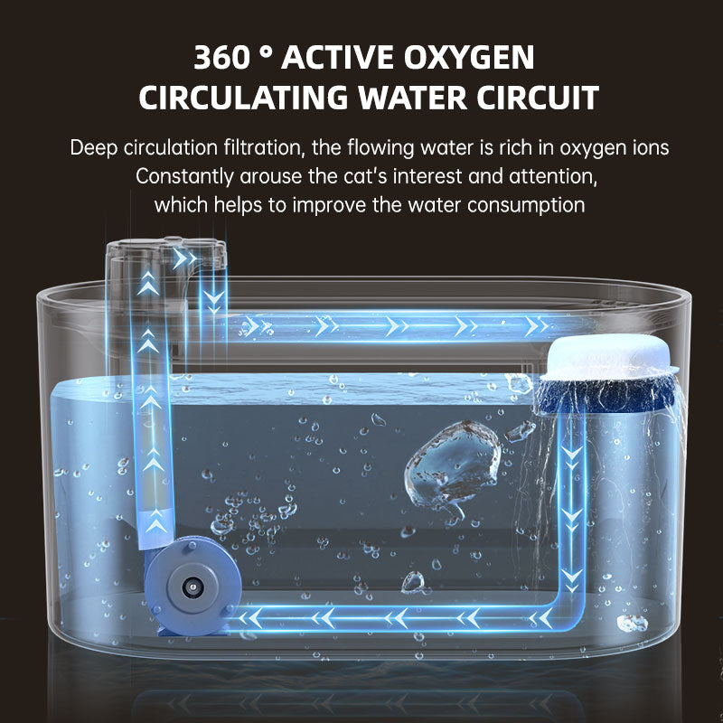 Oxygenized Electric Smart Water Dispenser